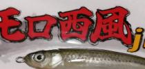 さとう漁協 / モロ西風 Jr.