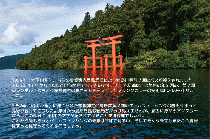 Super Stright (スーパーストライク) / FO-60 芦ノ湖 Limited /B