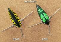 REPLY (リプライ) / Juno Moth (ジュノーモス)