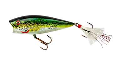 プロショップレージ オンラインショップ / Heddon(ヘドン) / Pop