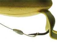 SMITH (スミス) / ストライク フロッグ